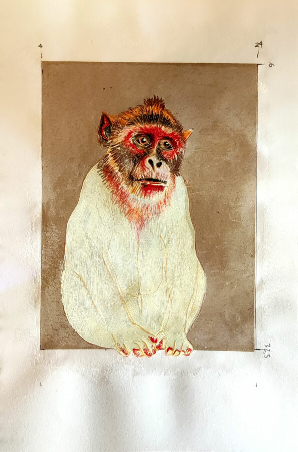 just-another-sad-monkey